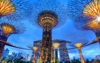 Gardens by the Bay in Singapore (Image: Duy Nguyen, Unsplash)