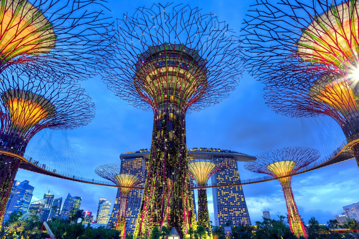Gardens by the Bay in Singapore (Image: Duy Nguyen, Unsplash)